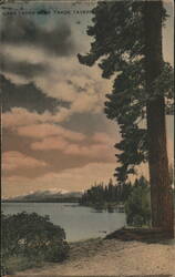 Lake Tahoe Near Tahoe Tavern Postcard