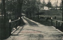 Road to Eveline, Colon, Michigan Postcard