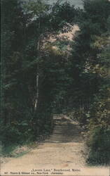 Lovers Lane, Beachwood, Maine Postcard