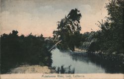 Mokelumne River, Lodi CA Postcard