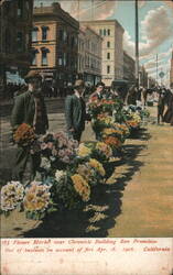 Flower Market near Chronicle Building, San Francisco Postcard