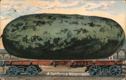 Giant California Watermelon on Rail Car Postcard