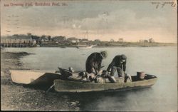 Dressing Fish, Biddeford Pool, Maine Postcard