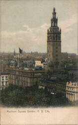 Madison Square Garden, New York City Postcard