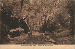 Maple Grove, Cold Water Canyon - The Dells, Kilbourn Postcard