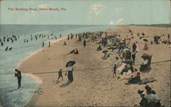 The Bathing Hour, Palm Beach, Florida Postcard