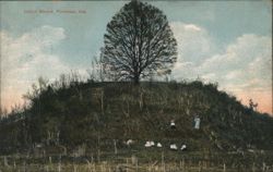 Indian Mound, Florence, AL Postcard