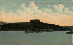 Watkins Salt Company, Watkins, N.Y. (Seneca Lake) Postcard