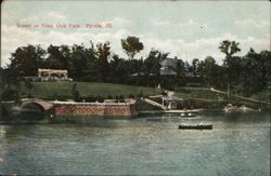 Scene in Glen Oak Park, Peoria, Illinois Postcard