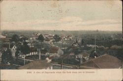 Haywards, California When the Fruit Trees are in Blossom Postcard