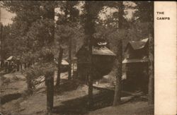 Feather River Inn and Camps, near Blairsden, California Postcard