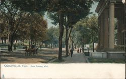 Main Avenue West, Knoxville, Tenn. Postcard