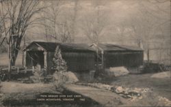 Twin Bridges over East Creek, Green Mountains Postcard