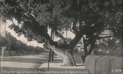 Charter Oak - University Ave. and Waverly St. Postcard