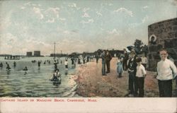 Captain's Island or Magazine Beach, Cambridge, MA Postcard