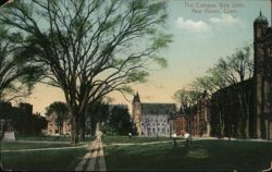 Yale Campus Postcard