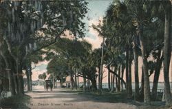 Beach Street North, Daytona, FL Postcard