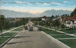 Angus Drive, North from 35th Ave., Shaughnessy Heights, Vancouver, B.C. Postcard