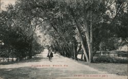 Sherman Avenue, Madison, WI Postcard