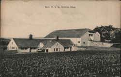 Barn, Massachusetts Agricultural College, Amherst Postcard