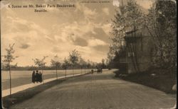 A Scene on Mt. Baker Park Boulevard, Seattle Postcard