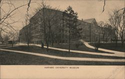 Harvard University Museum Postcard