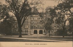 Weld Hall, Harvard University Postcard