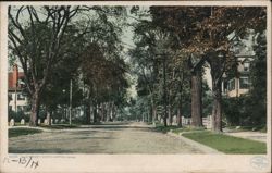 Elm Street, Northampton, Mass. Postcard