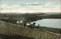 A Corner of Loch Sheldrake, NY Postcard