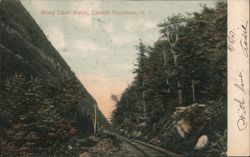 Stony Clove Notch, Catskill Mountains Postcard