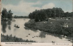 Picnic Grounds, Lake Park, Bloomington, Illinois Postcard