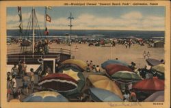 Stewart Beach Park, Galveston, Texas Postcard