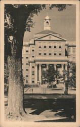 Main Entrance, New Haven Hospital Postcard