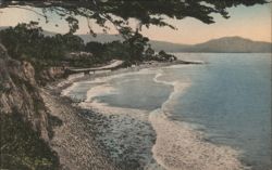 Channel Drive, Montecito, Santa Barbara Postcard