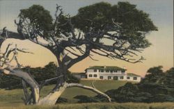 Cypress Point Club on the 17 Mile Drive, Pebble Beach Postcard