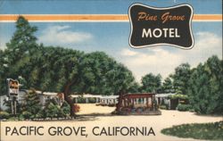 Pine Grove Motel, Pacific Grove, California Postcard