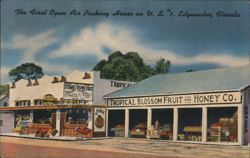 First Open Air Packing House on U.S. 1, Edgewater, Florida Postcard