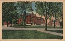 Oneonta State Teachers College, Oneonta, NY Postcard