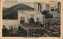 Princess Anne Hotel, Asheville NC - Lobby, Lounge, Bedroom Postcard