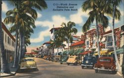 Worth Avenue, Palm Beach Postcard