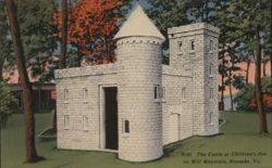 The Castle at Children's Zoo on Mill Mountain Postcard