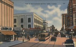 Part of Main Business Section, Tampa, FL Postcard