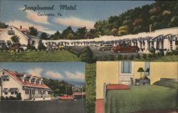 Janglewood Motel, Covington, VA Postcard