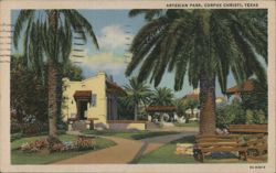 Artesian Park, Corpus Christi, TX Postcard