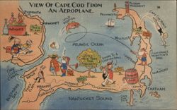 View of Cape Cod From An Aeroplane Postcard