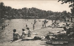 Stratton Brook State Park Beach Postcard