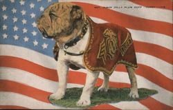 Sgt. James Jolly Plum Duff "Duffy", USMC Mascot Postcard