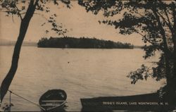 Trigg's Island, Lake Wentworth, New Hampshire Postcard