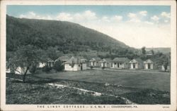 The Lindy Cottages on U.S. No. 6 Postcard