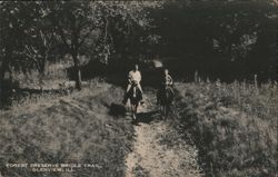 Forest Preserve Bridle Trail, Glenview, IL Postcard